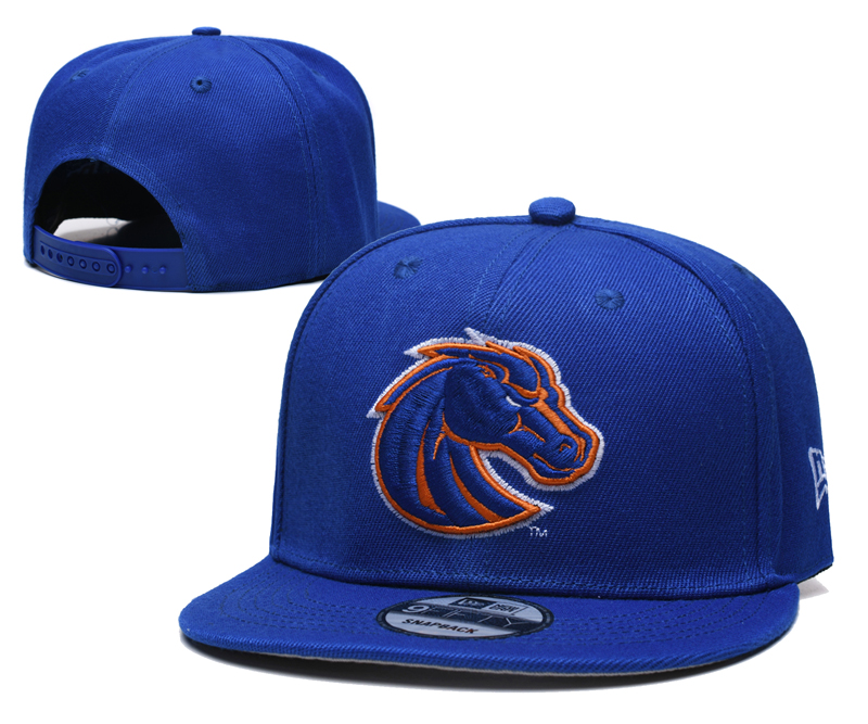 2026 New Hat 502a7d661009